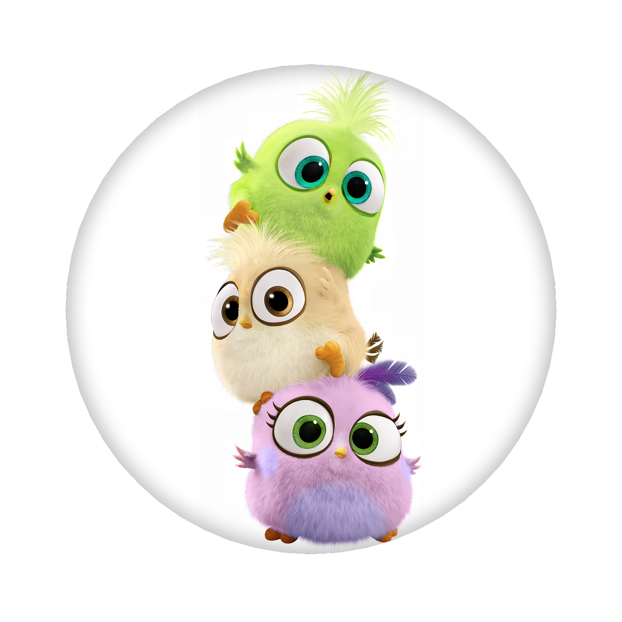 （画像用） Angry Birds アングリーバード 6cm 缶バッジ 複数セット