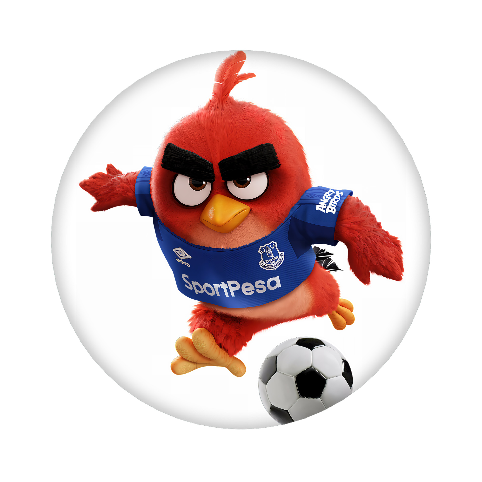 （画像用） Angry Birds アングリーバード 6cm 缶バッジ 複数セット