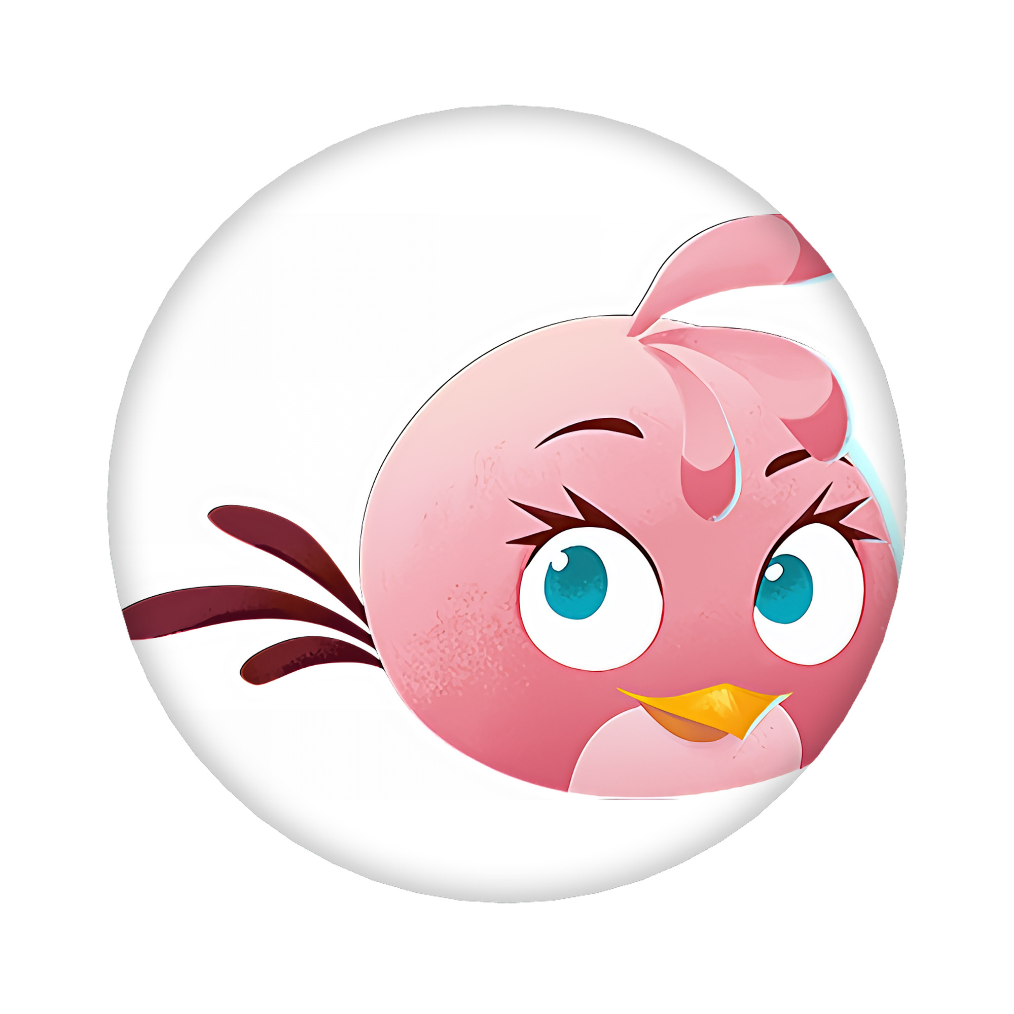 （画像用） Angry Birds アングリーバード 6cm 缶バッジ 複数セット