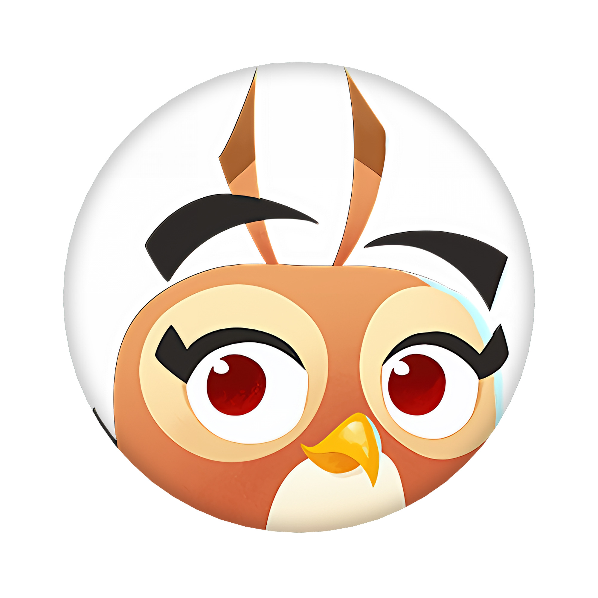 （画像用） Angry Birds アングリーバード 6cm 缶バッジ 複数セット