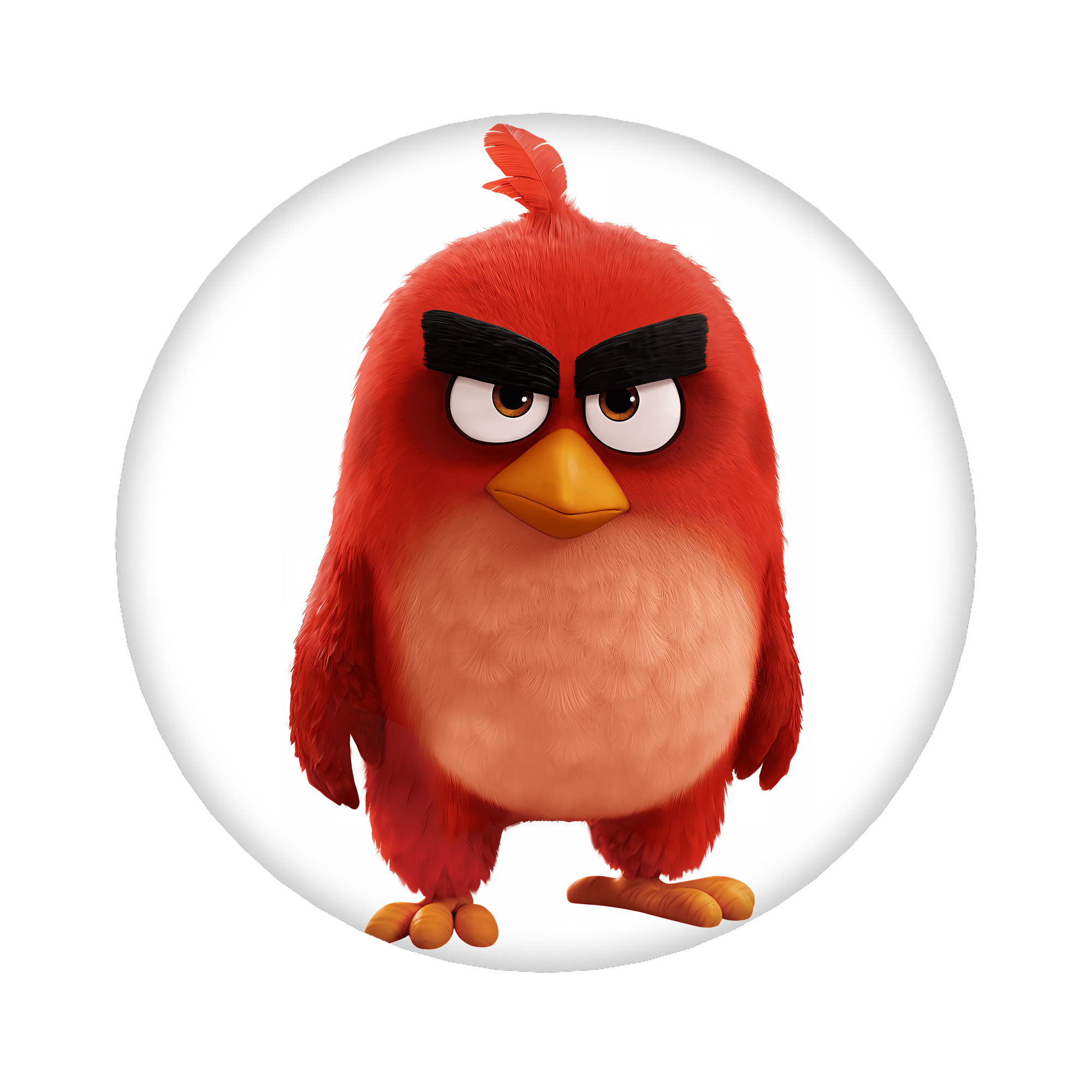 （画像用） Angry Birds アングリーバード 6cm 缶バッジ 複数セット