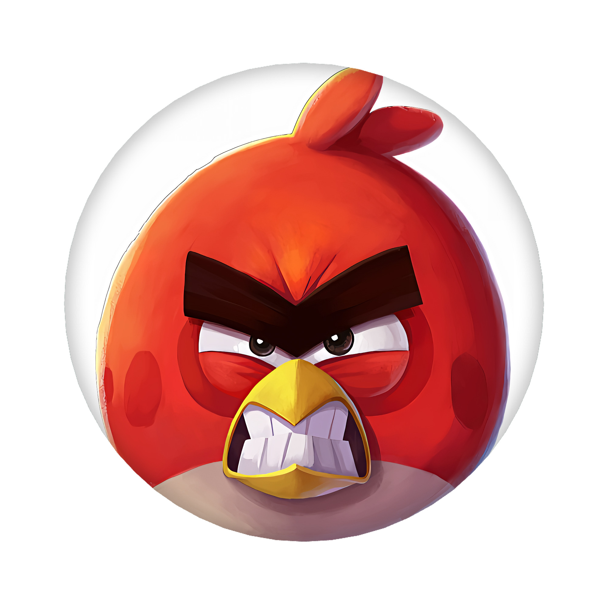 （画像用） Angry Birds アングリーバード 6cm 缶バッジ 複数セット