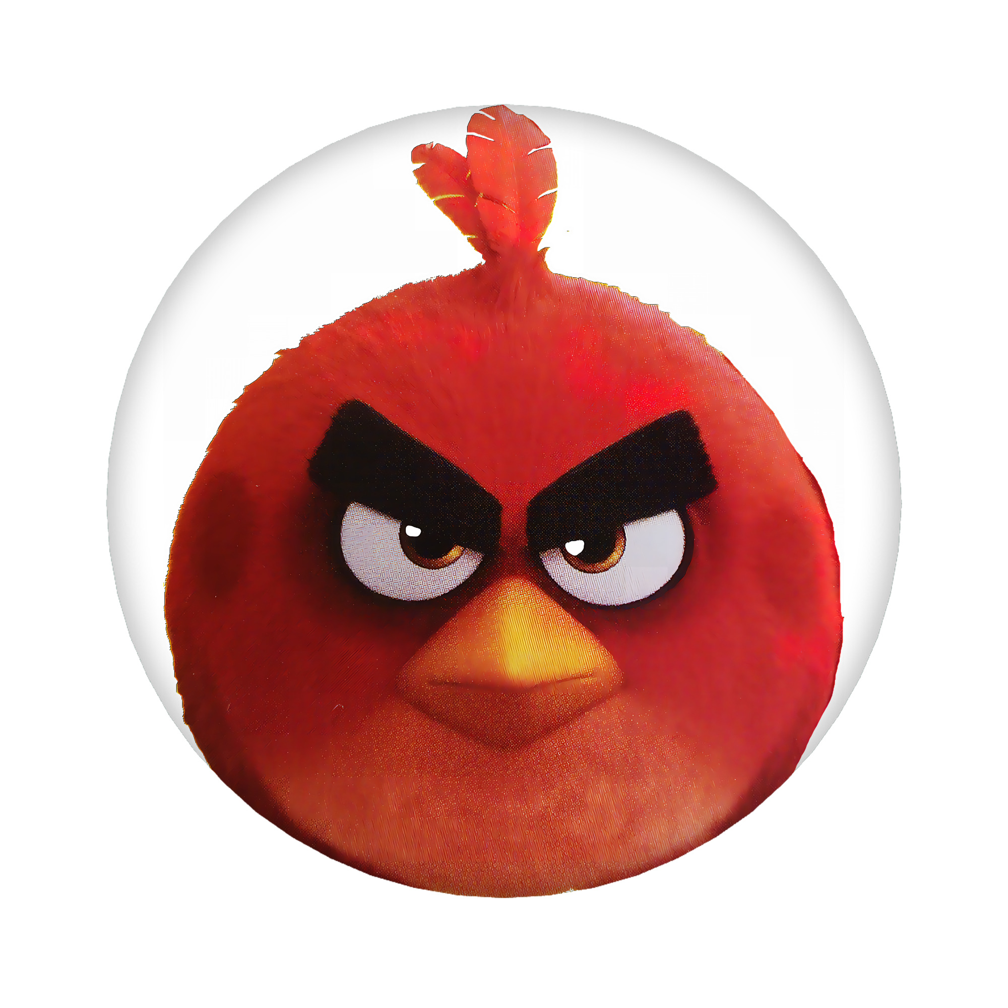 （画像用） Angry Birds アングリーバード 6cm 缶バッジ 複数セット