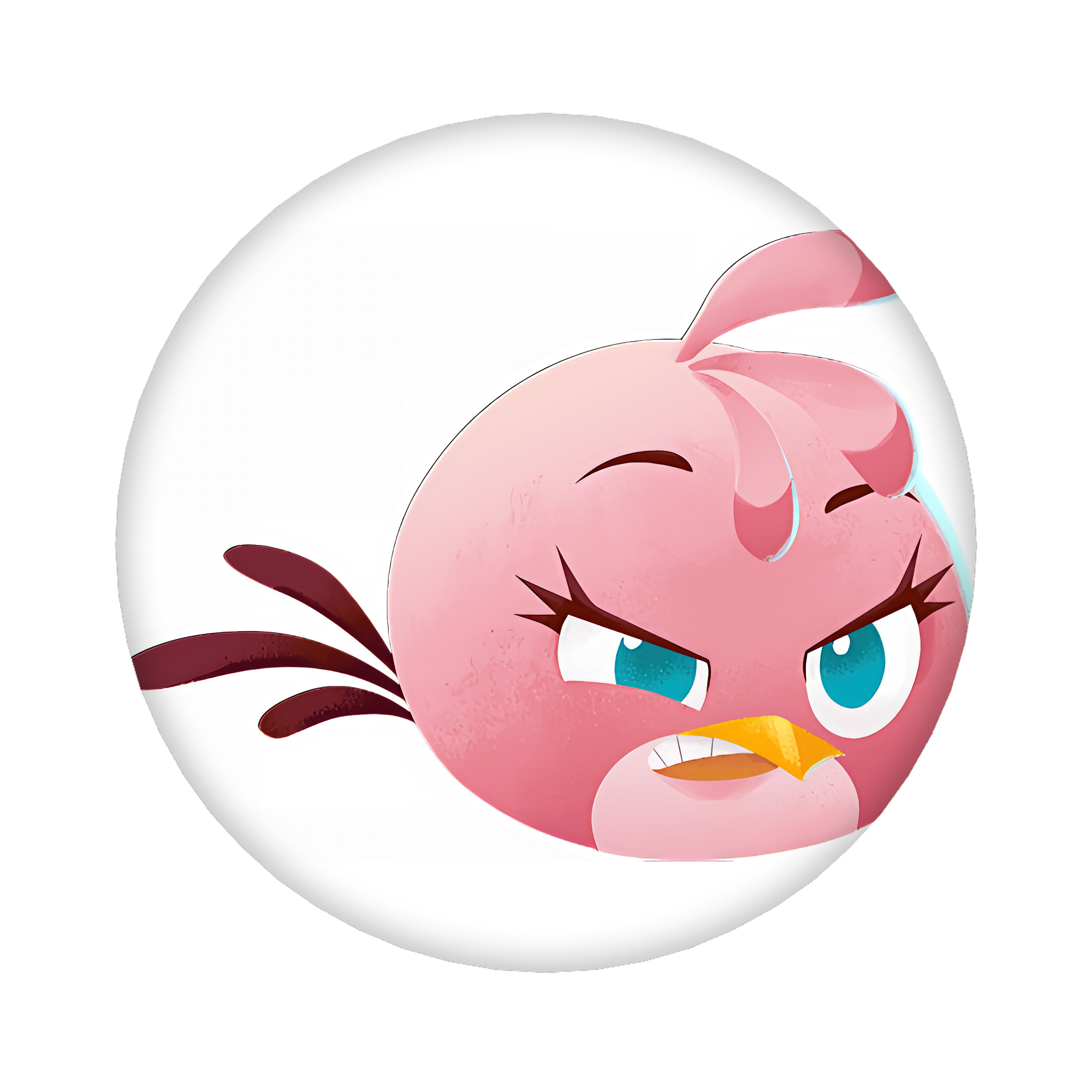 （画像用） Angry Birds アングリーバード 6cm 缶バッジ 複数セット