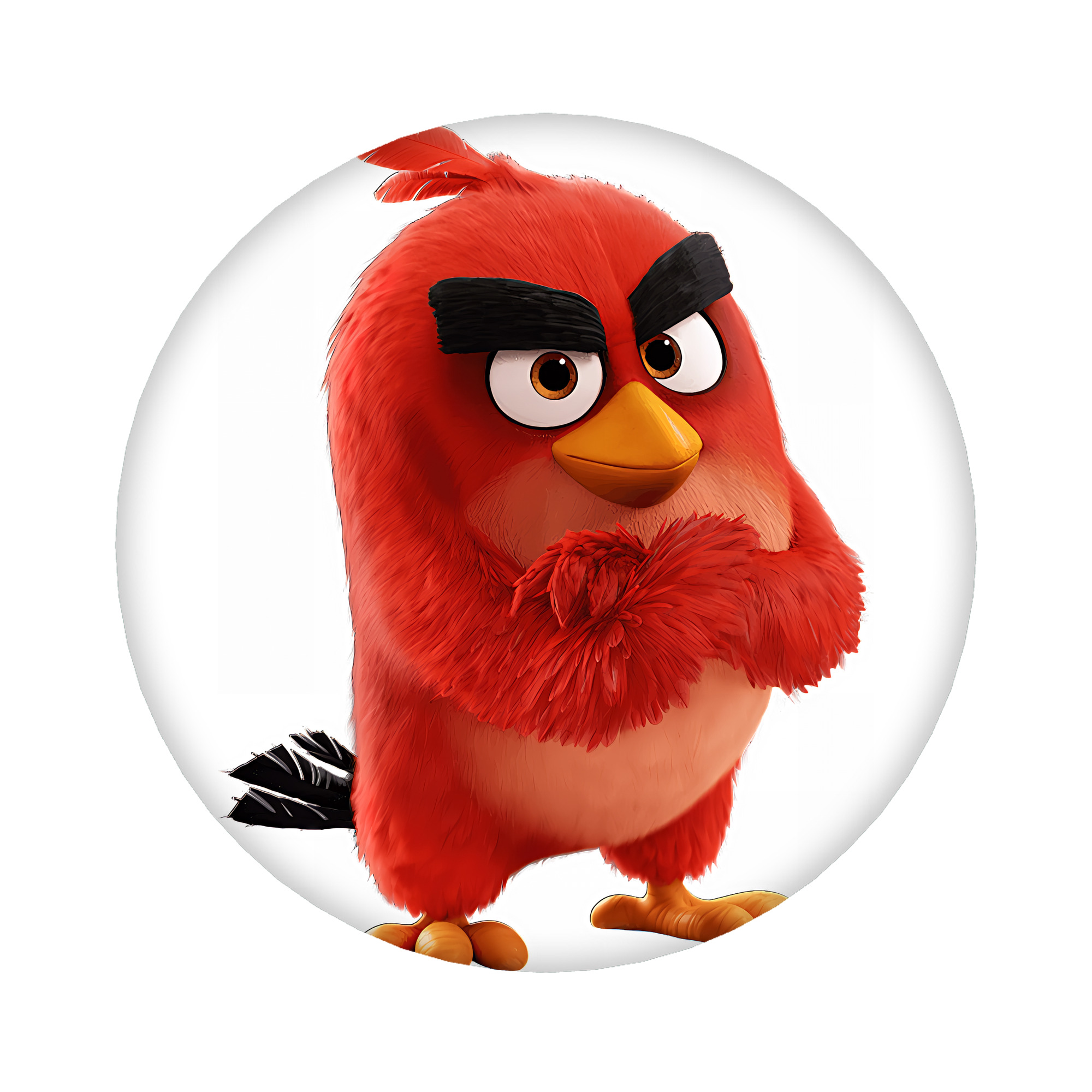 （画像用） Angry Birds アングリーバード 6cm 缶バッジ 複数セット