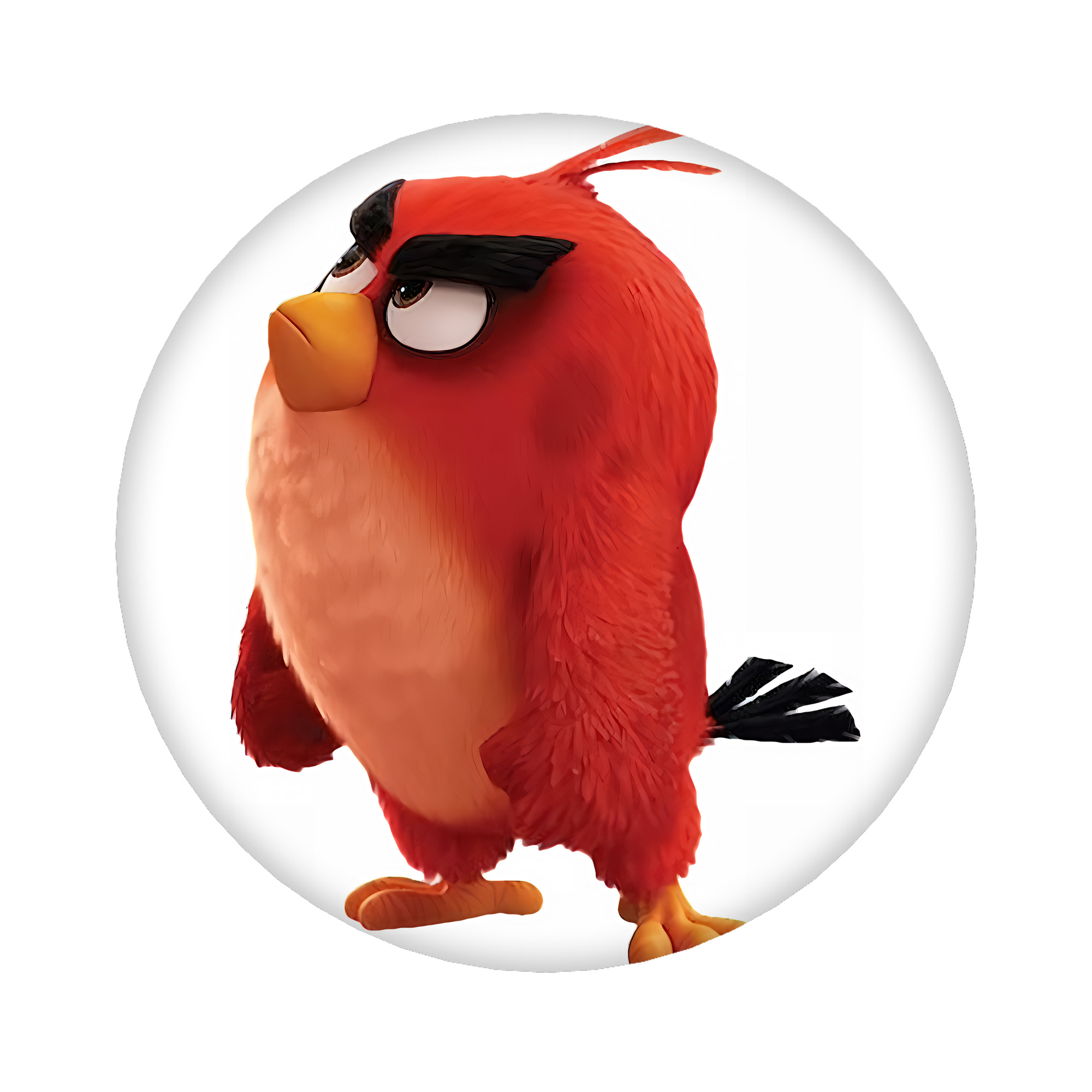 （画像用） Angry Birds アングリーバード 6cm 缶バッジ 複数セット
