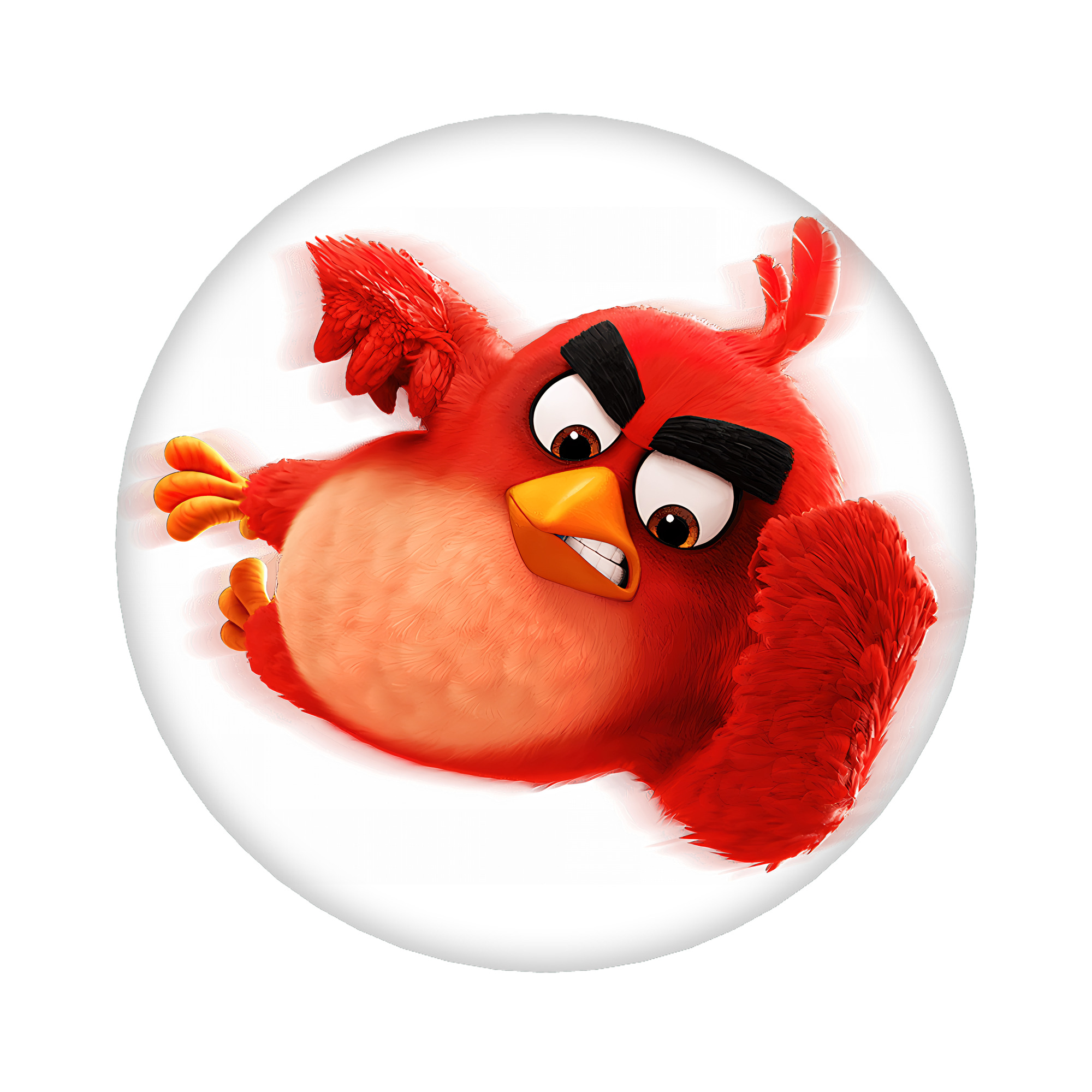 （画像用） Angry Birds アングリーバード 6cm 缶バッジ 複数セット