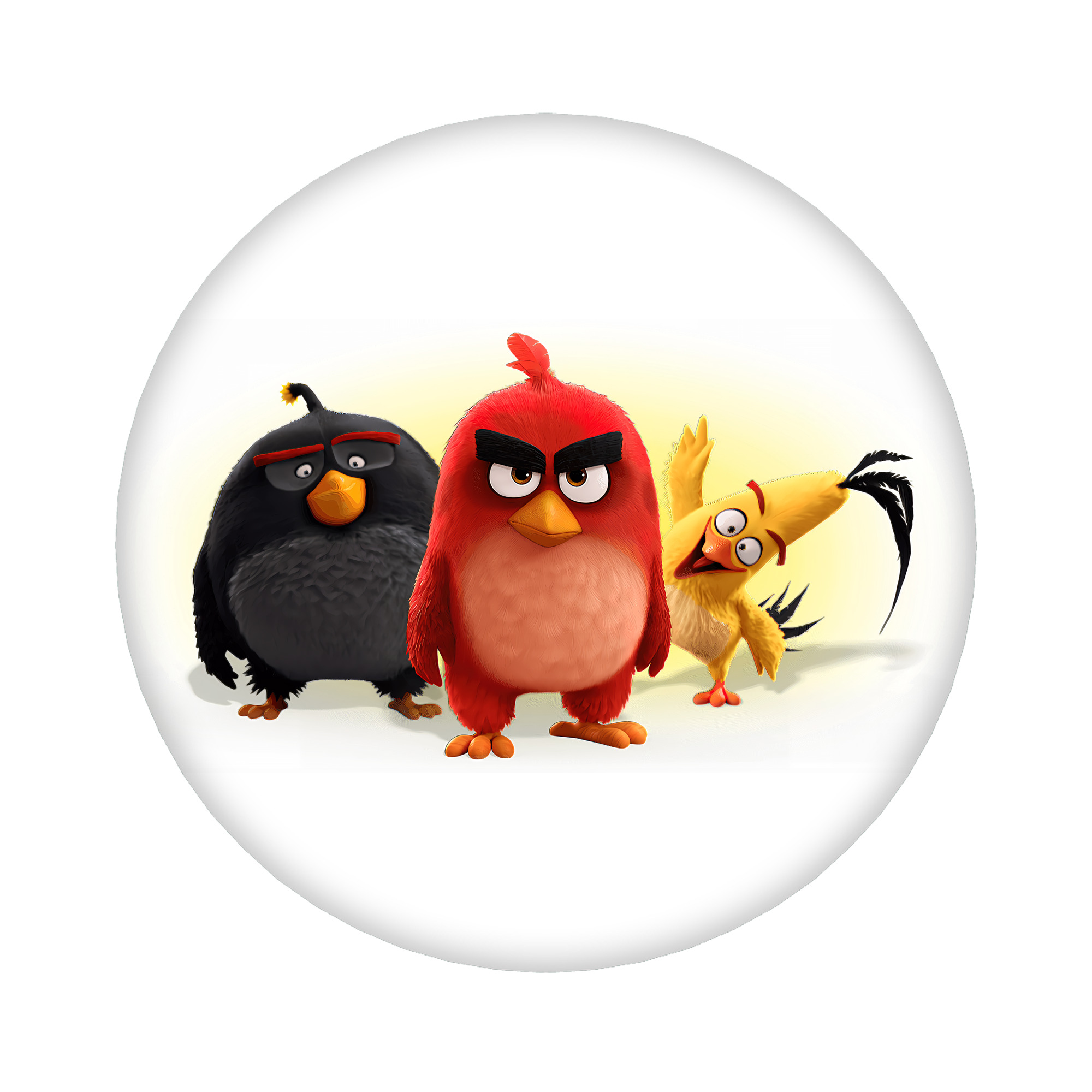 （画像用） Angry Birds アングリーバード 6cm 缶バッジ 複数セット