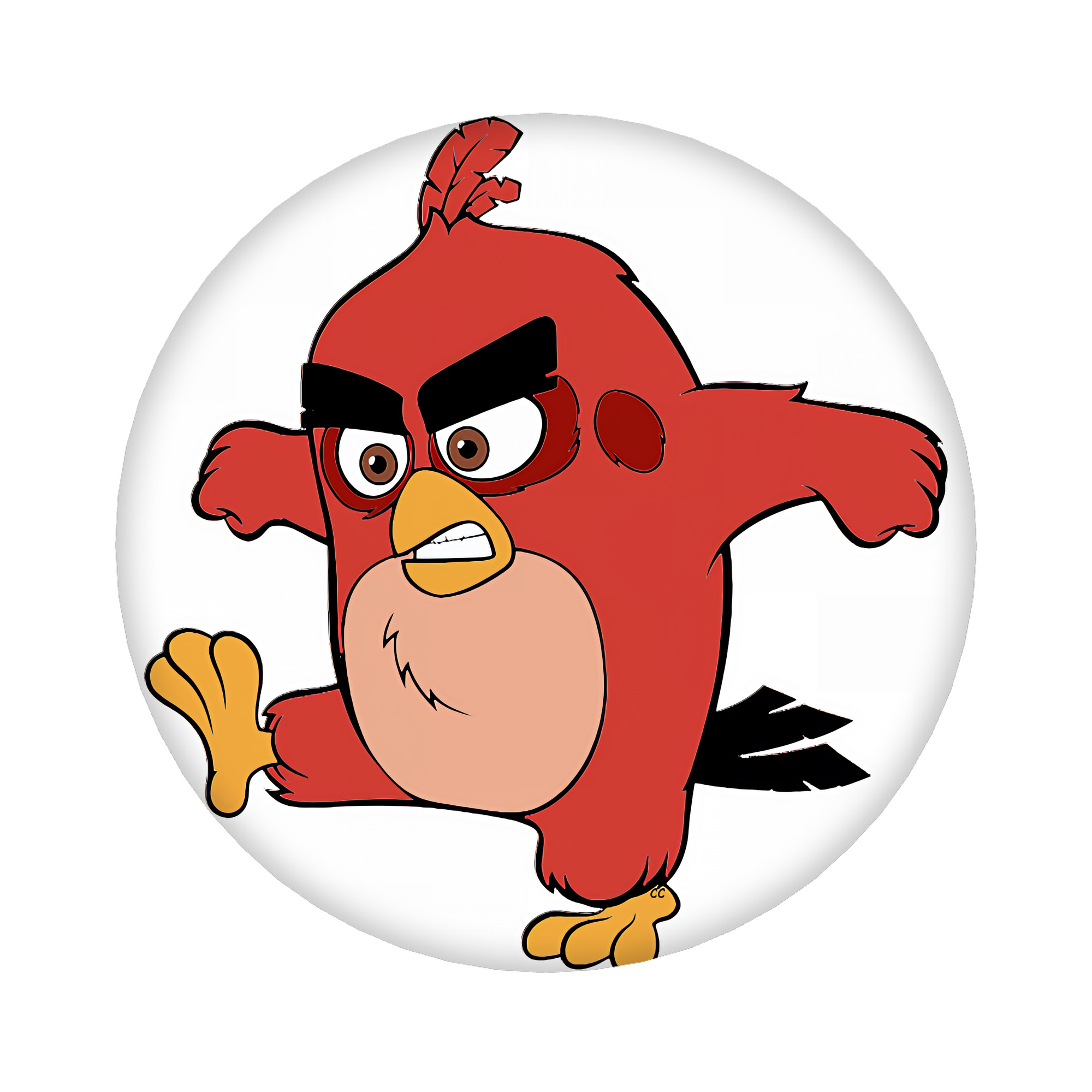 （画像用） Angry Birds アングリーバード 6cm 缶バッジ 複数セット
