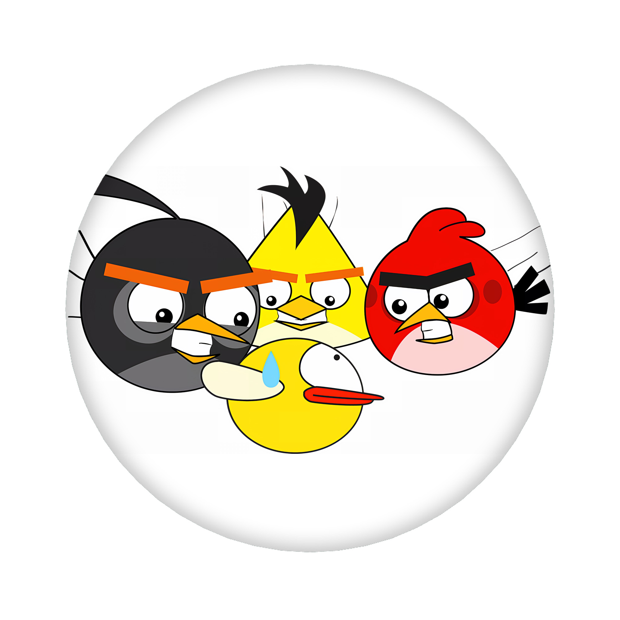 （画像用） Angry Birds アングリーバード 6cm 缶バッジ 複数セット