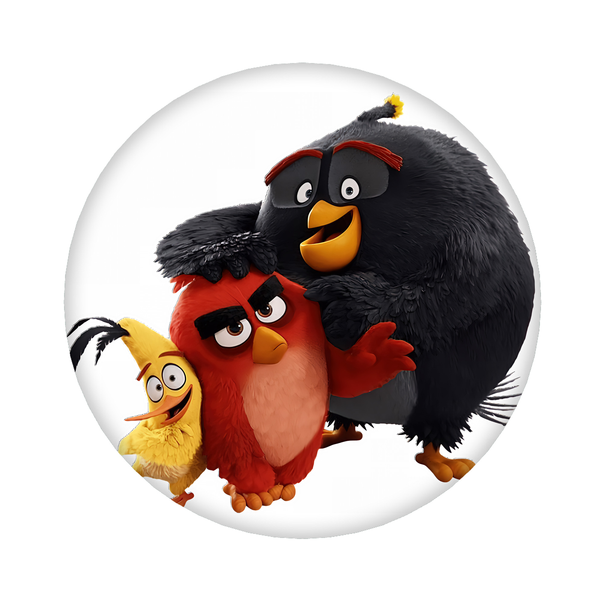 （画像用） Angry Birds アングリーバード 6cm 缶バッジ 複数セット