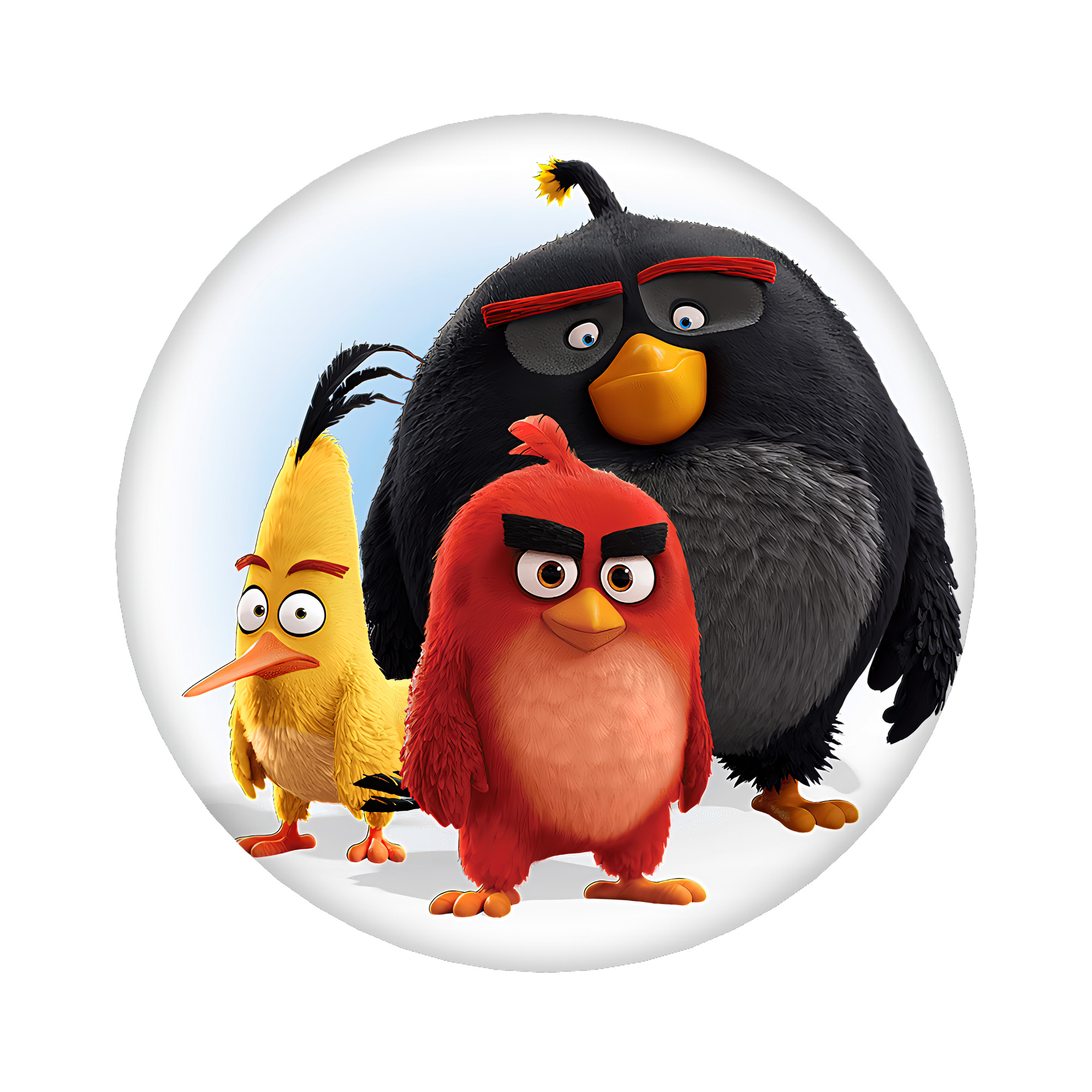 （画像用） Angry Birds アングリーバード 6cm 缶バッジ 複数セット