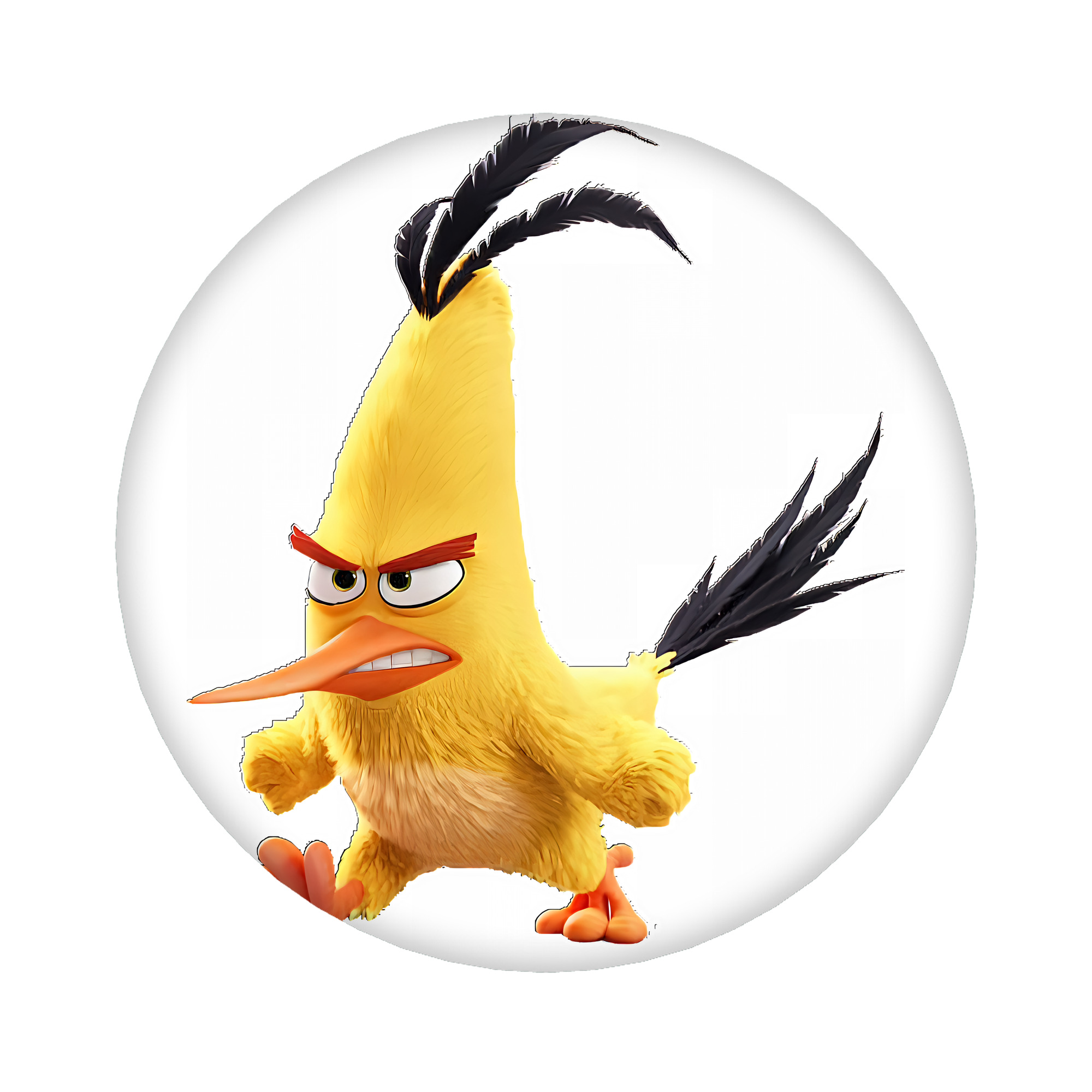 （画像用） Angry Birds アングリーバード 6cm 缶バッジ 複数セット