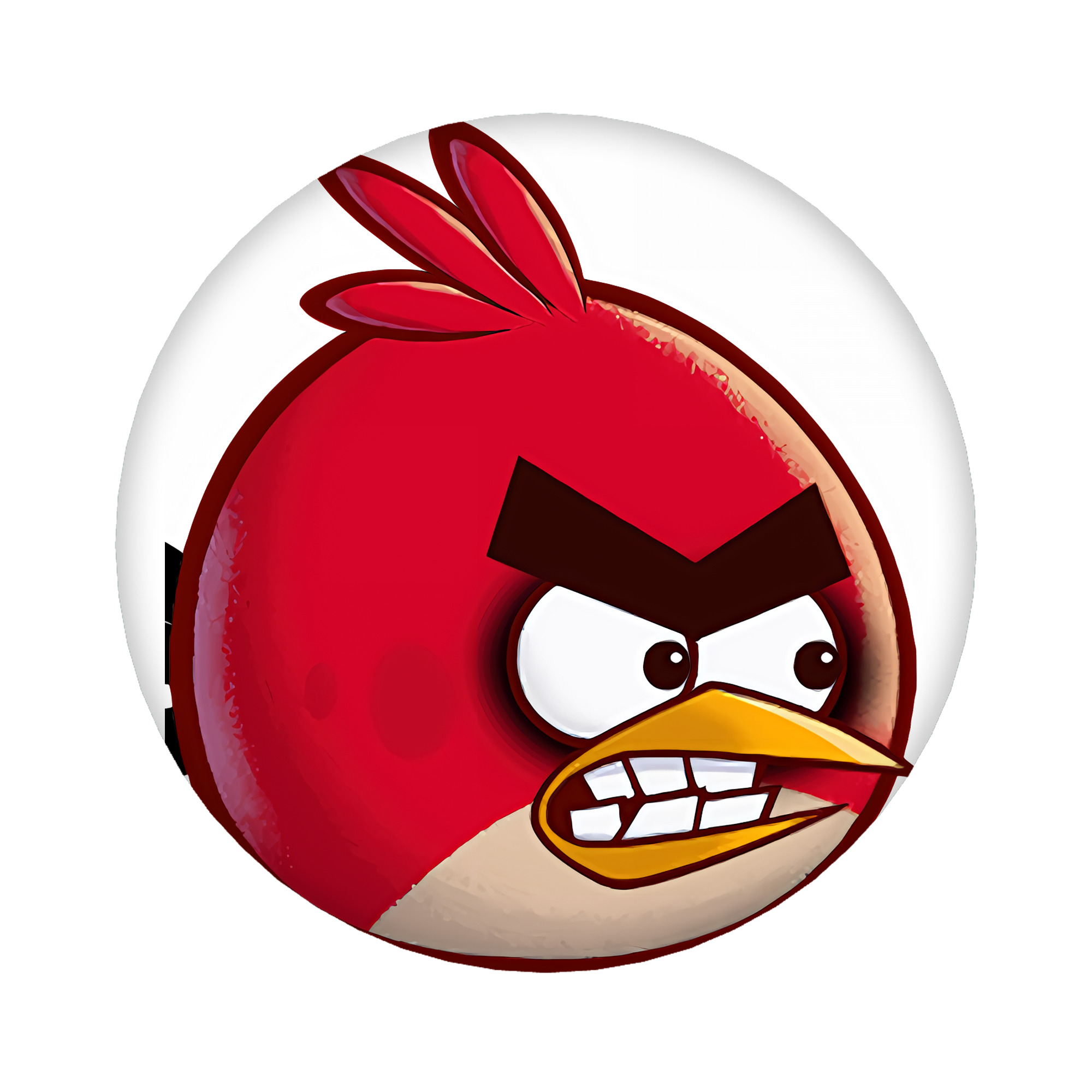 （画像用） Angry Birds アングリーバード 6cm 缶バッジ 複数セット