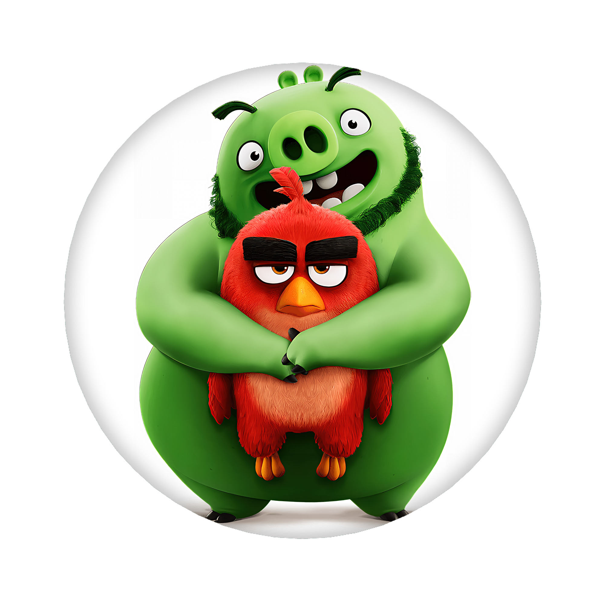 （画像用） Angry Birds アングリーバード 6cm 缶バッジ 複数セット