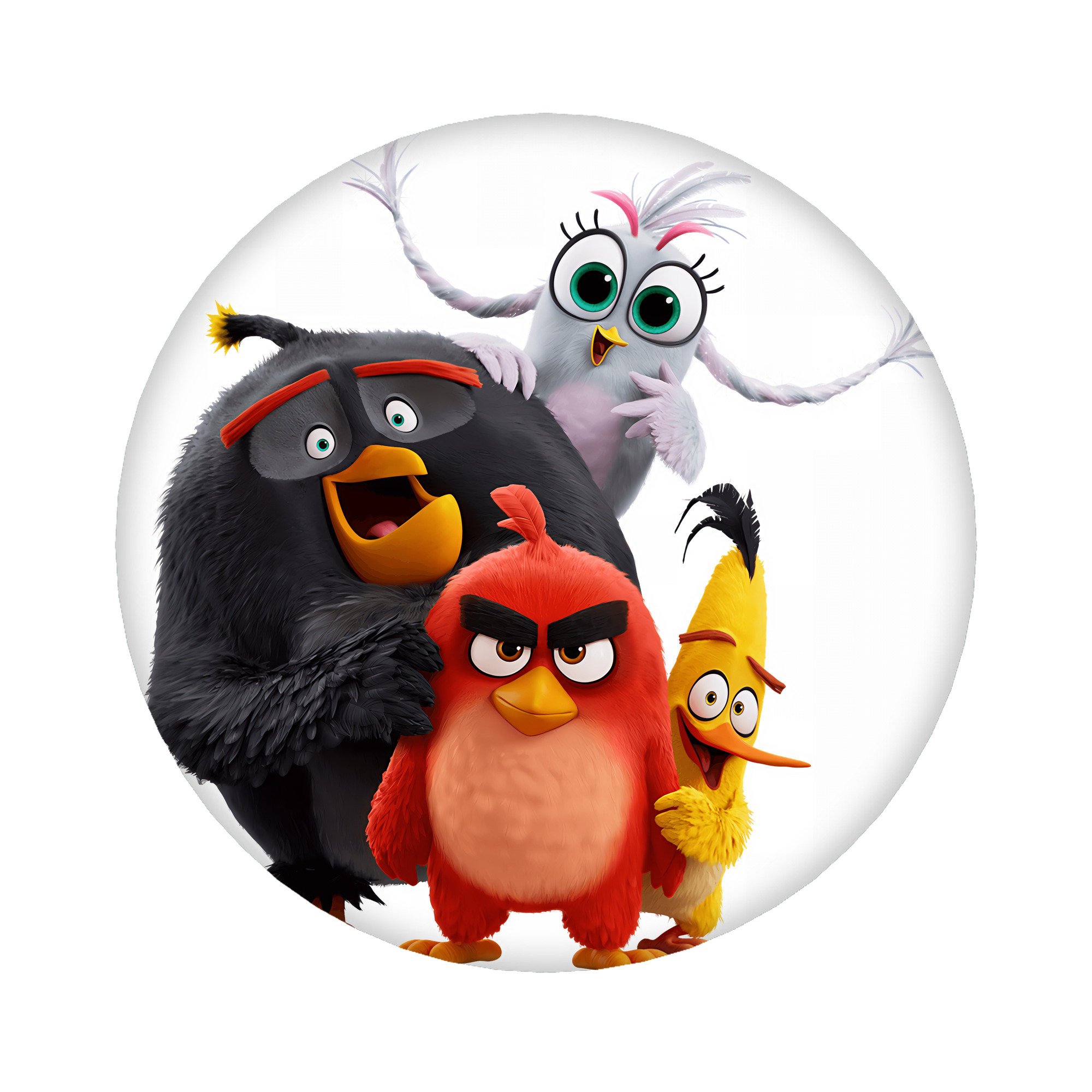 （画像用） Angry Birds アングリーバード 6cm 缶バッジ 複数セット