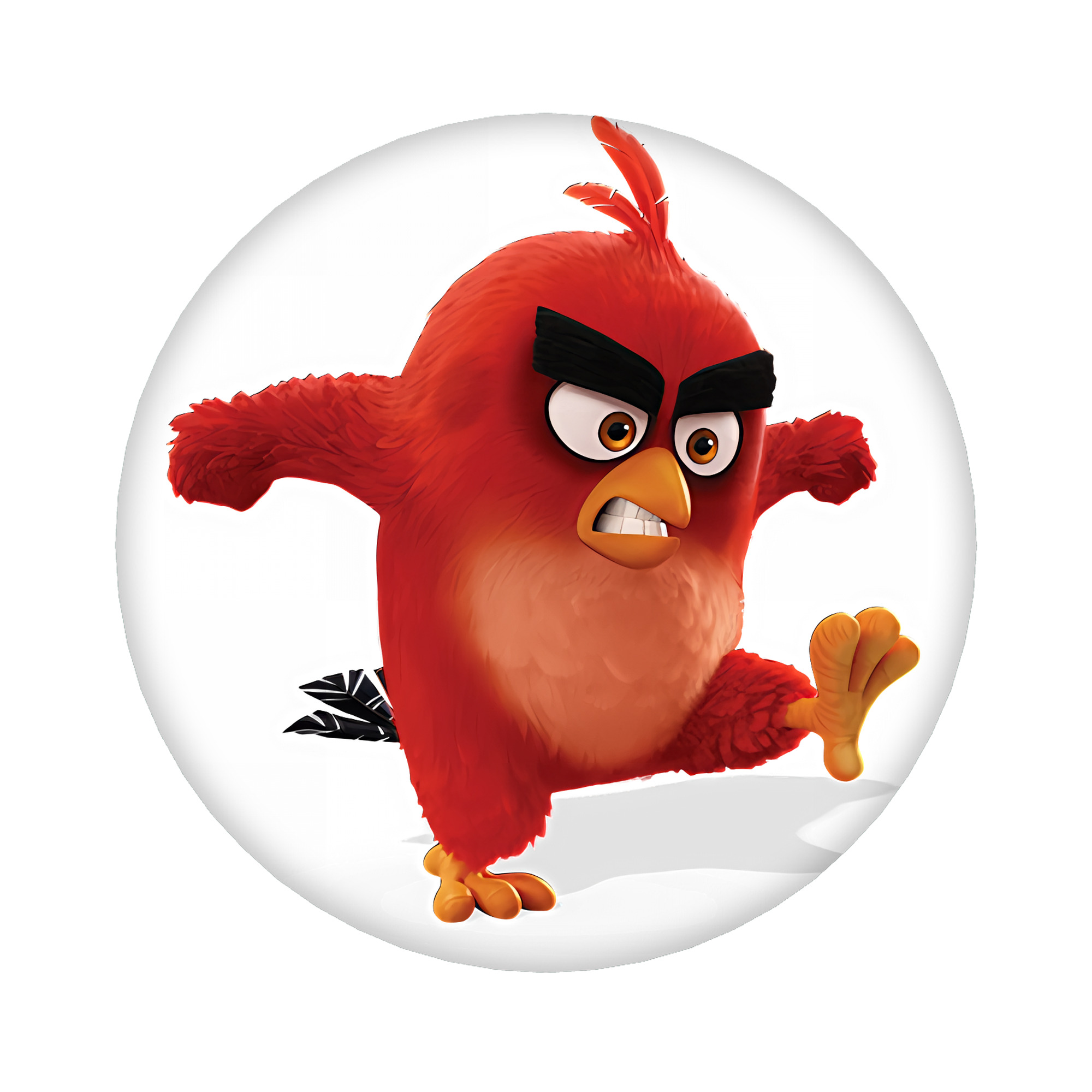 （画像用） Angry Birds アングリーバード 6cm 缶バッジ 複数セット