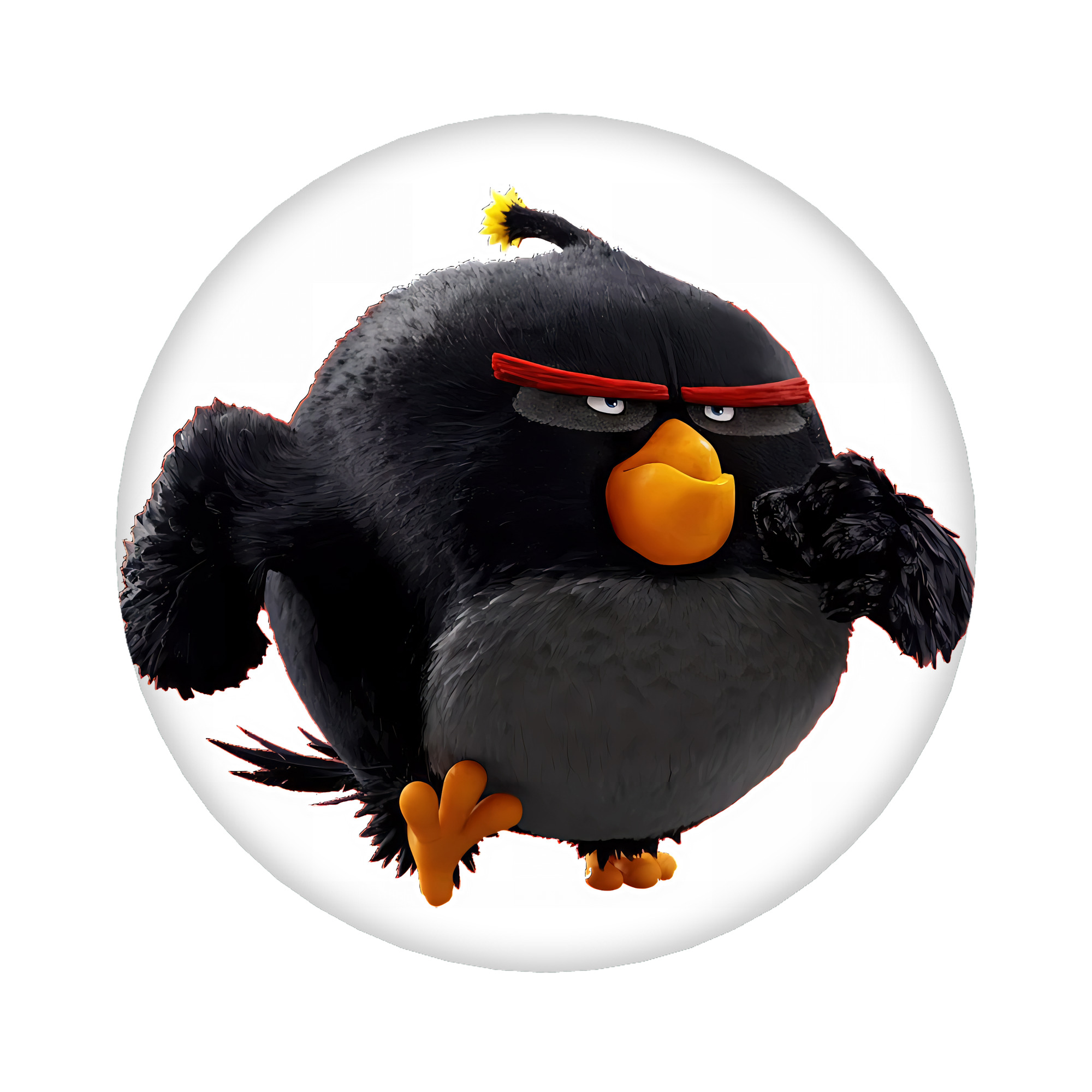 （画像用） Angry Birds アングリーバード 6cm 缶バッジ 複数セット