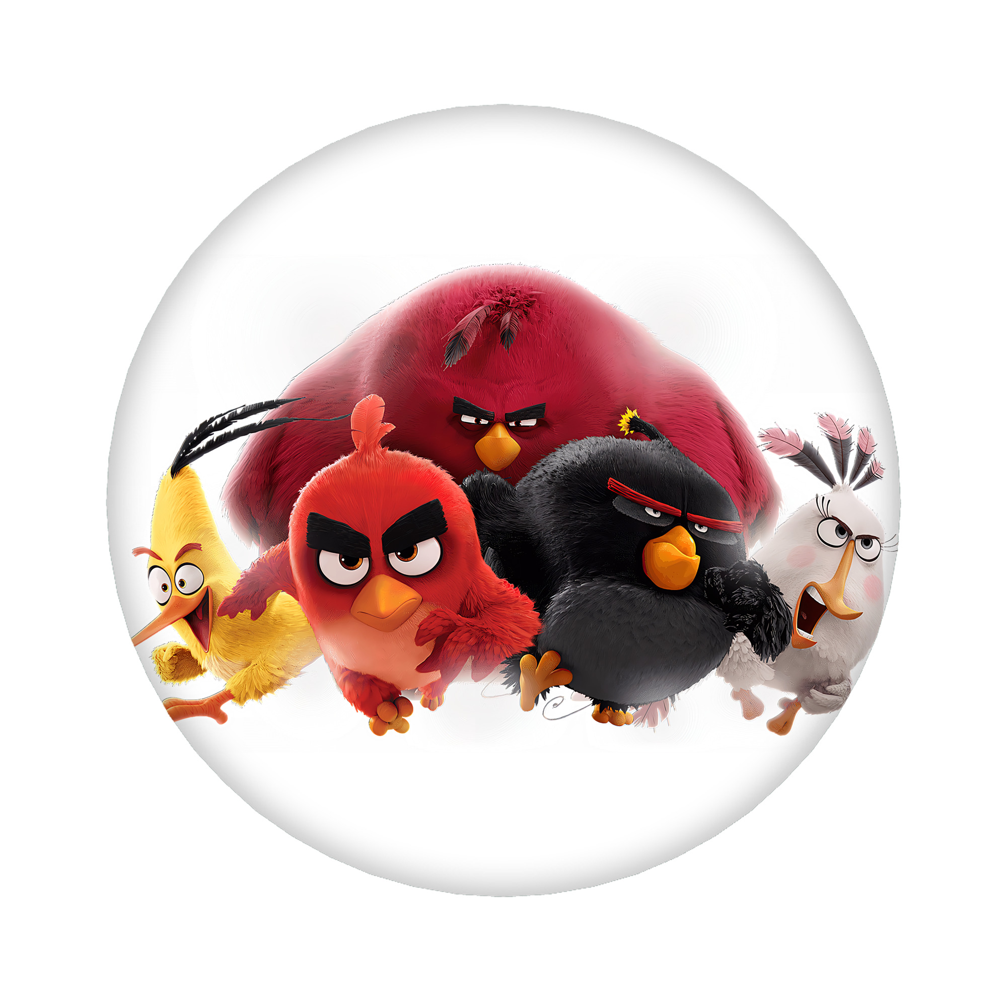 （画像用） Angry Birds アングリーバード 6cm 缶バッジ 複数セット