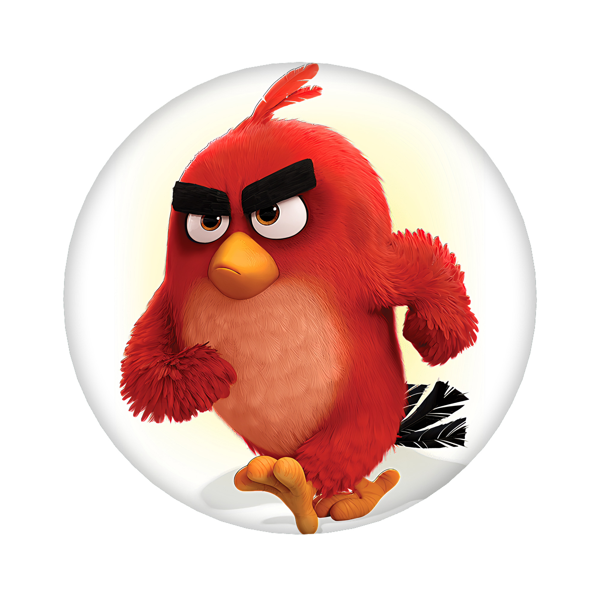 （画像用） Angry Birds アングリーバード 6cm 缶バッジ 複数セット