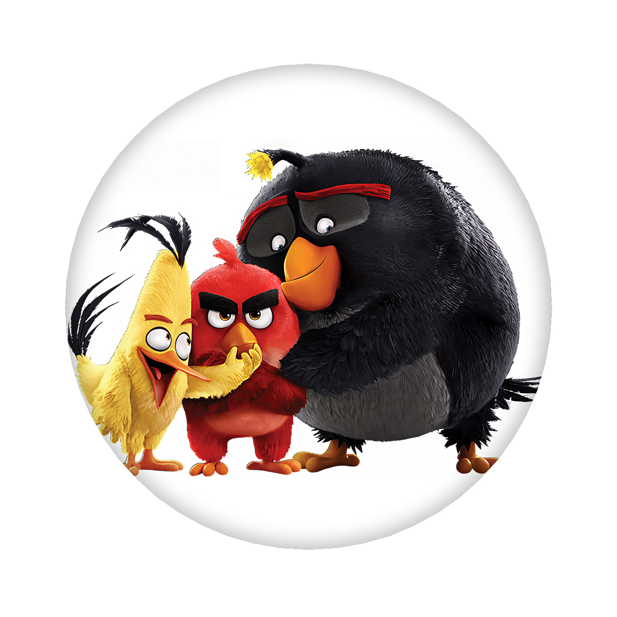 （画像用） Angry Birds アングリーバード 6cm 缶バッジ 複数セット
