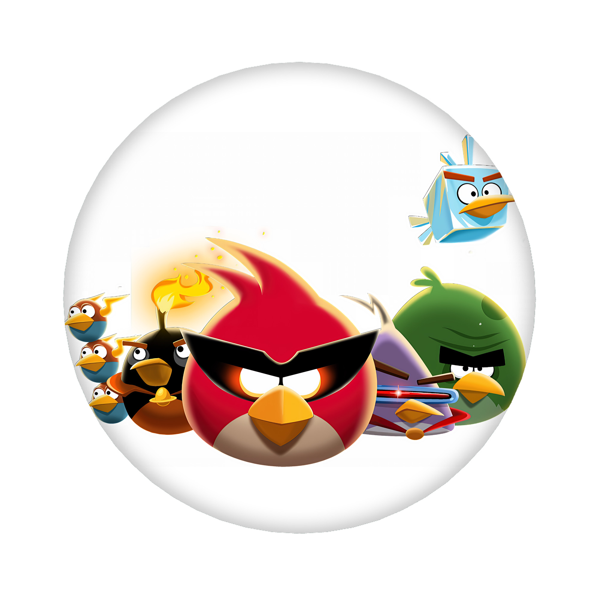 （画像用） Angry Birds アングリーバード 6cm 缶バッジ 複数セット