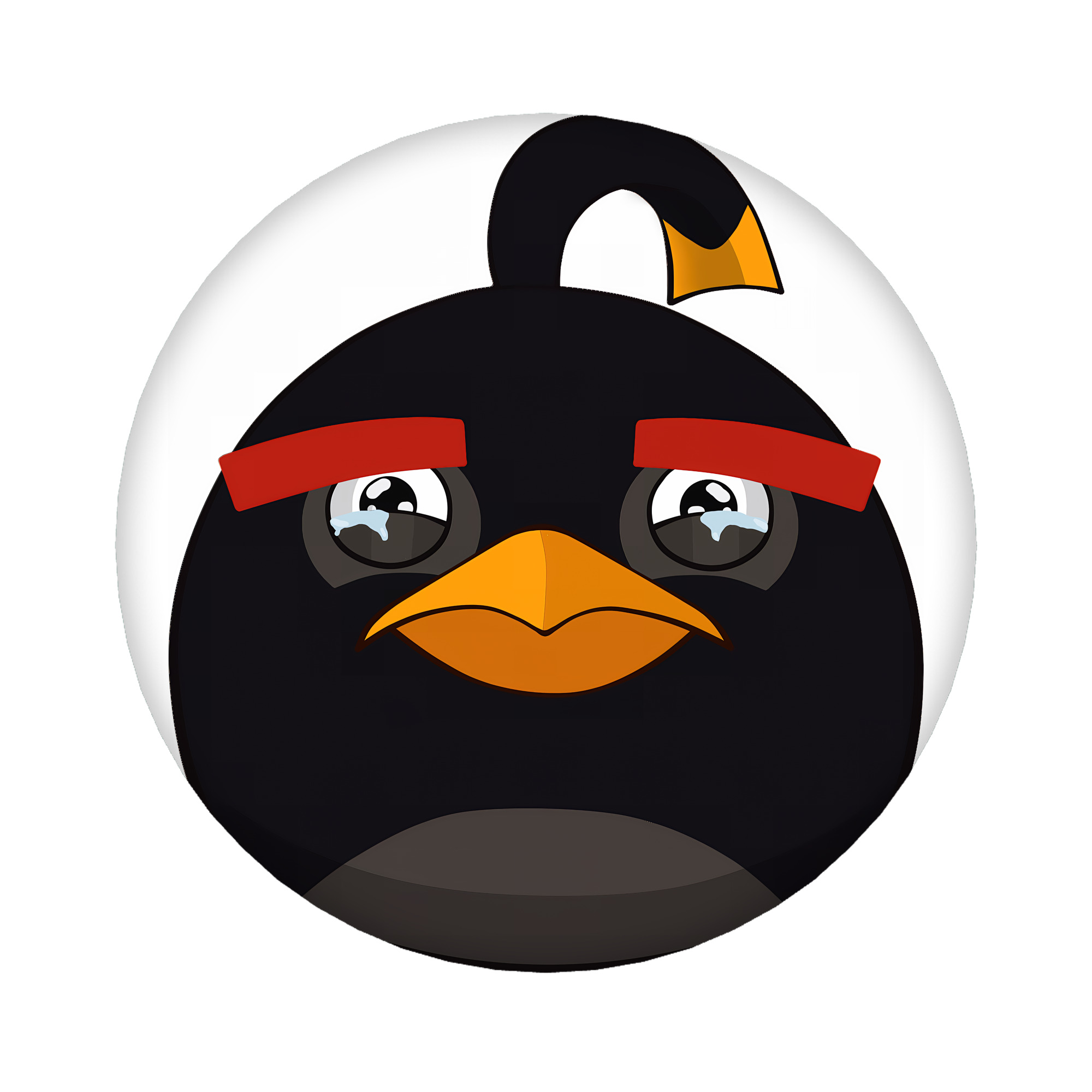 （画像用） Angry Birds アングリーバード 6cm 缶バッジ 複数セット