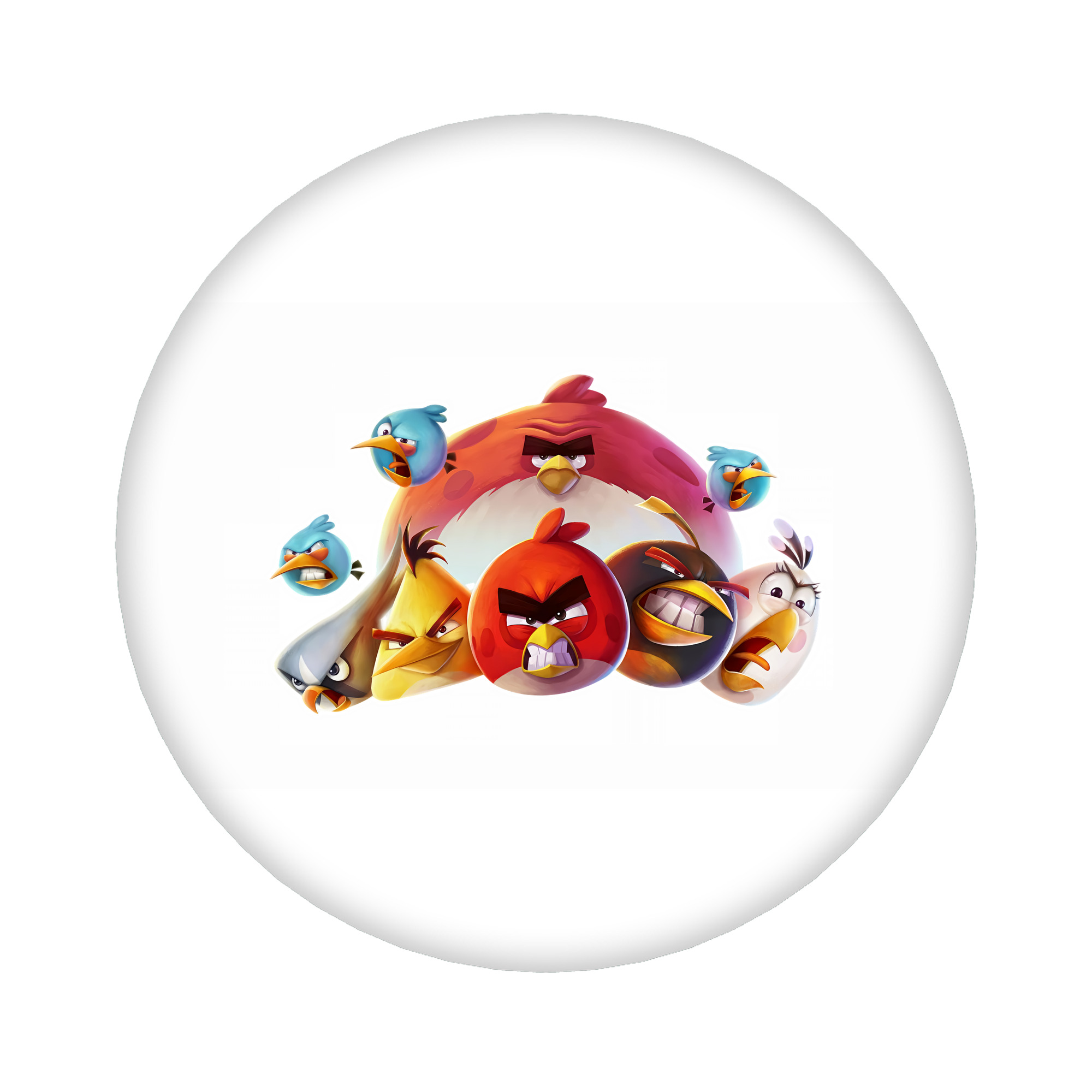 （画像用） Angry Birds アングリーバード 6cm 缶バッジ 複数セット